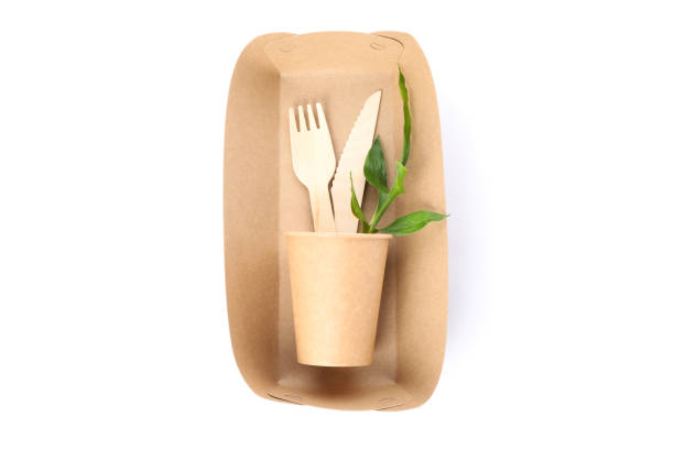 istock Eco - friendly food container, fork, knife, plant and cup isolated on white background 1189778917