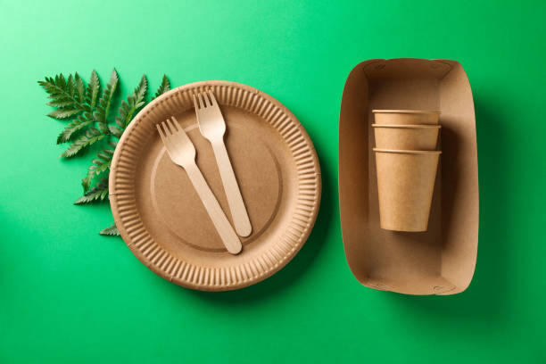 istock Concept with eco - friendly tableware and plant on green background, copy space 1189779021