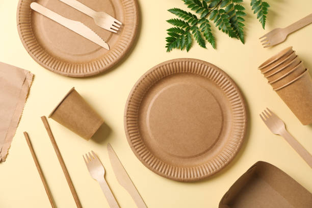 istock Composition with eco - friendly tableware and plant on beige background, space for text 1189779039