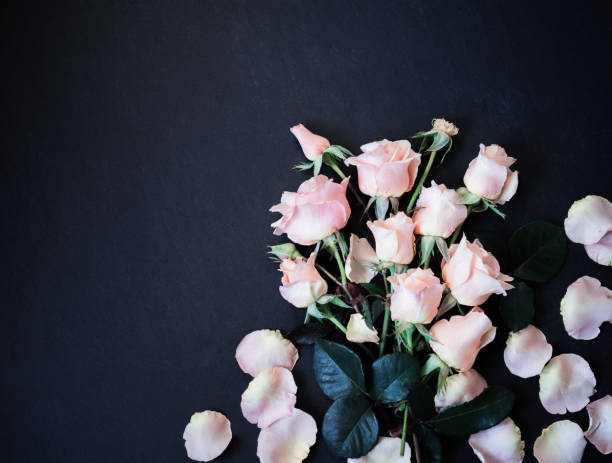 istock Rose Flowers on Black Background. Pink Roses Top view Flat lay, Copy Space 1189780134
