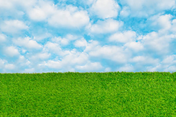 istock Green grass land field with blue sky cloud nature fresh background. 1189780177