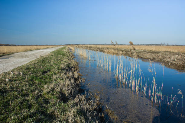 istock Road and river with a cane 1189782219