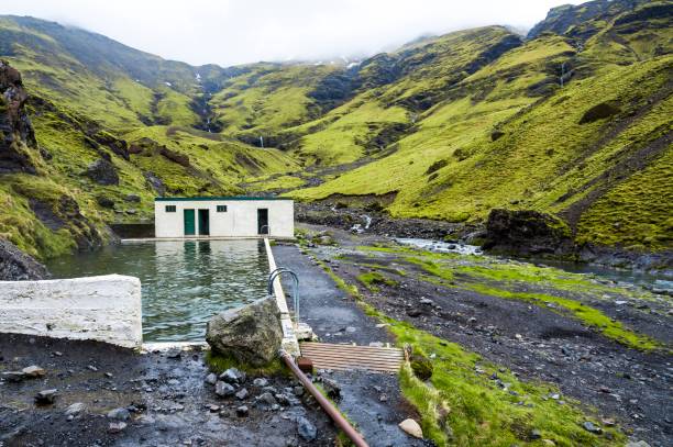 seljavallalaug è una piscina all'aperto fornita di acqua termale nel sud dell'islanda e una delle piscine più antiche. la piscina è piena di alghe rendendo l'acqua verde e la piscina scivolosa. - travel nature rural scene outdoors foto e immagini stock