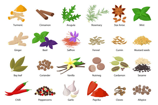 ilustrações de stock, clip art, desenhos animados e ícones de large set of spices vector illustrations in flat design isolated on white background. spices and herbs icons collection. - arugula salad herb organic