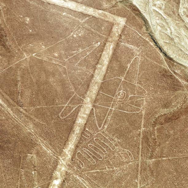 istock The whale, Nazca mysterious lines and geoglyphs 1189783121