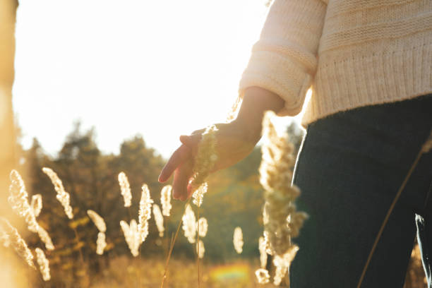 istock Woman and tall dried plants in forest, space for text 1189783833