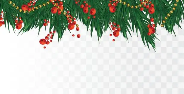 Vector illustration of 3D realistic branches, holly red berries on transparent background. Christmas and Happy new year. Fir branches with copy space for your text. Horisontal beautiful banner illustration