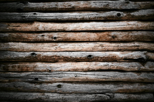 Beige old grunge wall from wooden logs knots
