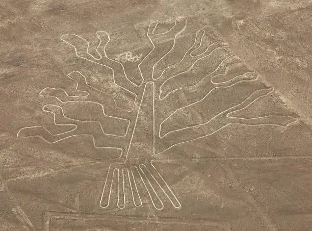Tree geoglyph, Nazca mysterious lines and geoglyphs aerial view, landmark in Peru