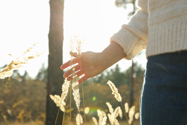 istock Woman and tall dried plants in forest, space for text 1189785431