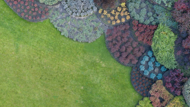 istock Lawn and flowerbed with ground cover plants 1189785570
