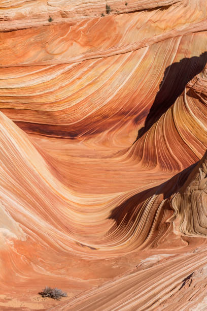 istock The Wave in Arizona under early morning light after sunrise. 1189787919