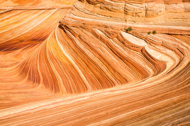 istock Bright orange sandstone of The Wave in Arizona. 1189788015