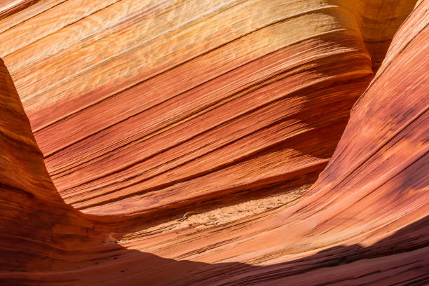 hartes licht des tages schafft interessante schatten auf buntem sandstein in orange rot und rosa canyon. - san rafael swell stock-fotos und bilder