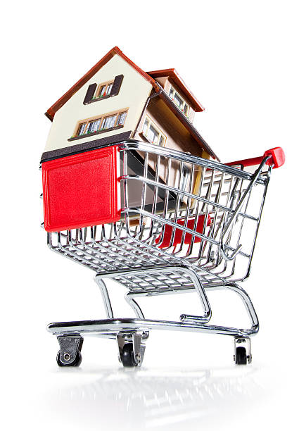 istock shopping cart and house 118979371