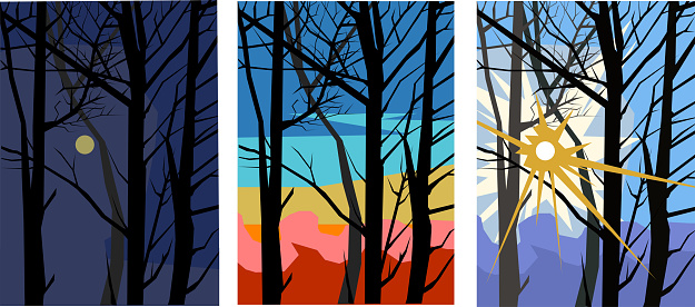 Trees without foliage at different times of the day. On a moonlit night, in the morning and on a sunny day. Winter forest. Branches. Silhouettes of trees. Set. Abstraction. Winter, late autumn. Vector