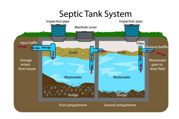 ilustrações de stock, clip art, desenhos animados e ícones de septic tank diagram. septic system and drain field scheme . an underground septic tank illustration. - baffle