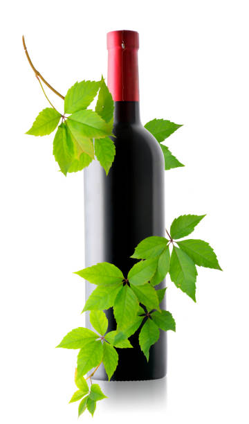 istock Bottle of wine and grape branch 1189794959