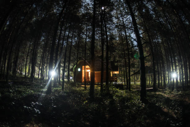 istock Old spooky house at the pine forest at night. Horror Halloween concept 1189796412