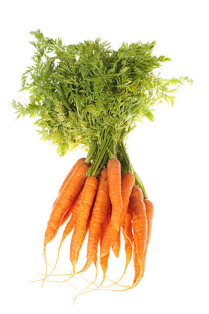 istock isolated bunch of carrots 118979828