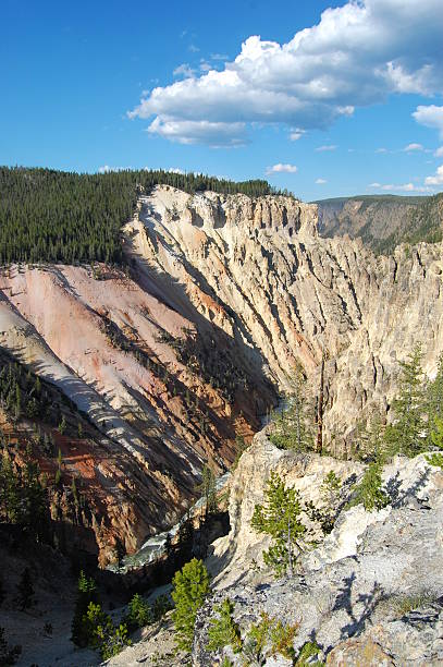 Grand Canyon at Yellowstone National Park stock photo
