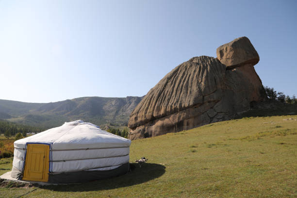 istock Turtle Rock in Terelj National Park 1189799255