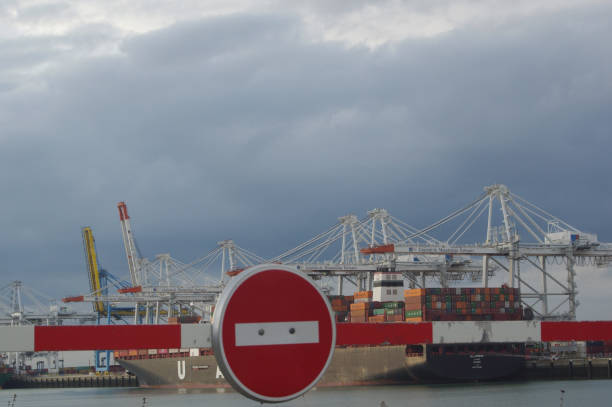 istock Cargo Cranes in Industrial Port 1189800961