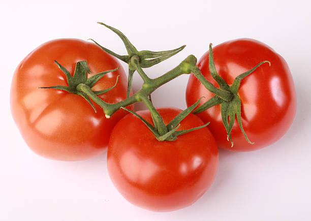 Red Tomatoes stock photo