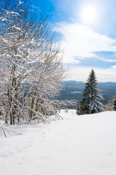 istock Winter scenery in the sunny day with blue sky 1189802819