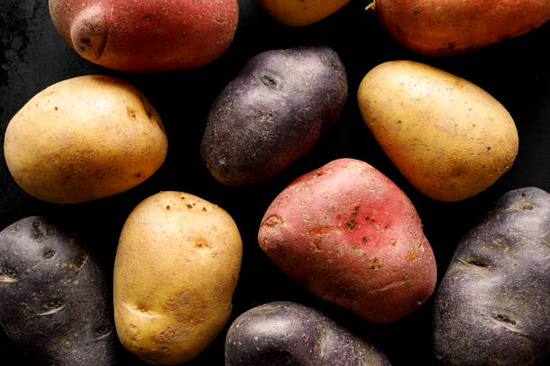 batatas, tipos diferentes e cores das batatas em um fundo preto. - red potato raw potato market red - fotografias e filmes do acervo