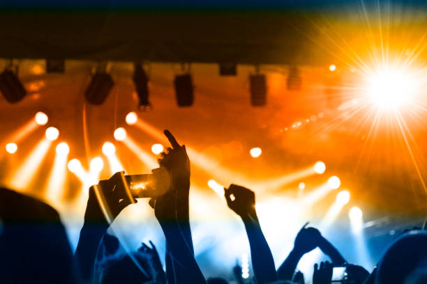 istock Music festival crowd 1189804604