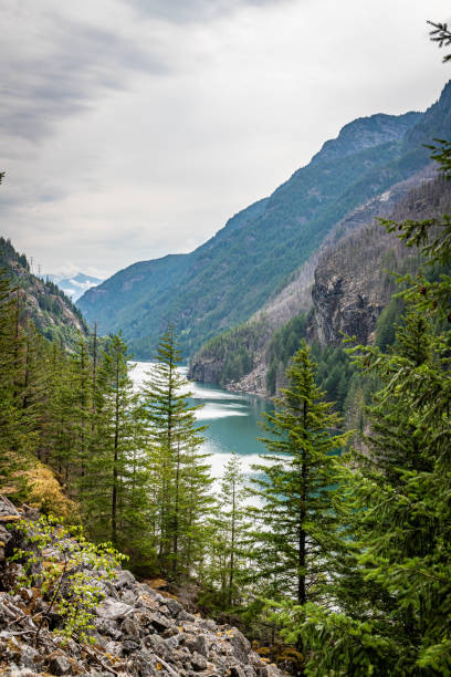 ノースカスケード国立公園 - north cascades national park glacier vertical photography ストックフォトと画像