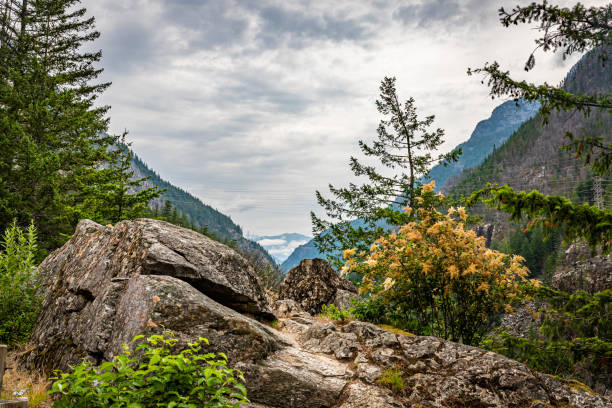 istock North Cascades National Park 1189807969