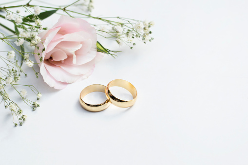 Pink flowers and two golden wedding rings on white background.