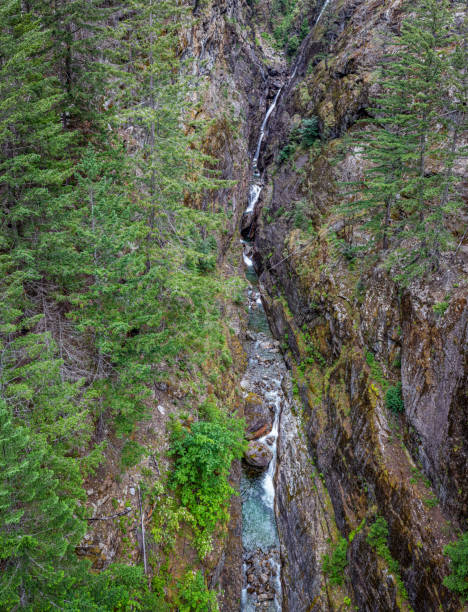 ノースカスケード国立公園 - north cascades national park glacier vertical photography ストックフォトと画像