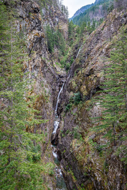 ノースカスケード国立公園 - north cascades national park glacier vertical photography ストックフォトと画像