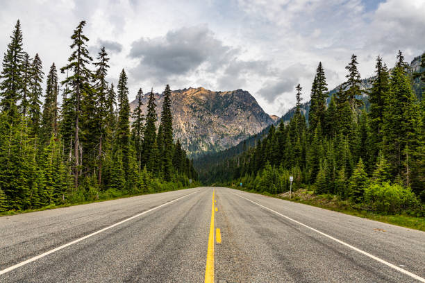 노스 캐스케이드 국립공원 - north cascades national park cascade range highway north 뉴스 사진 이미지