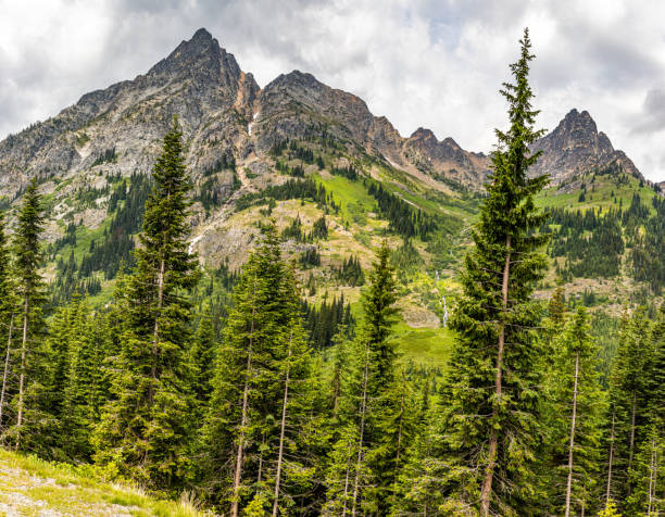 North Cascades National Park North Cascades National Park is a remote, rugged wilderness in the North Cascades mountain range of northern Washington state. north cascades national park cascade range waterfall snowcapped stock pictures, royalty-free photos & images