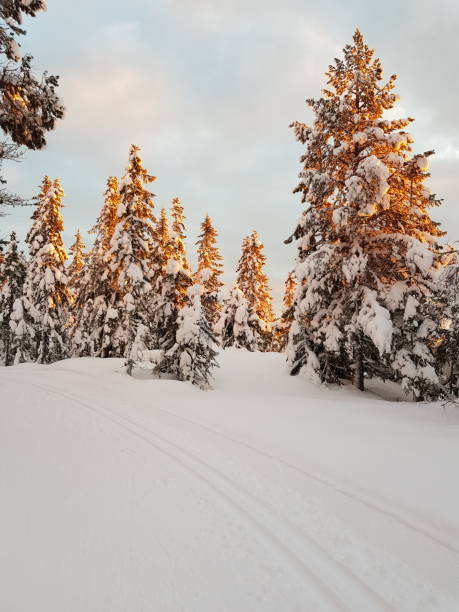 istock winter and snow 1189814153