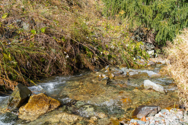 istock Golden autumn in the mountains 1189815154