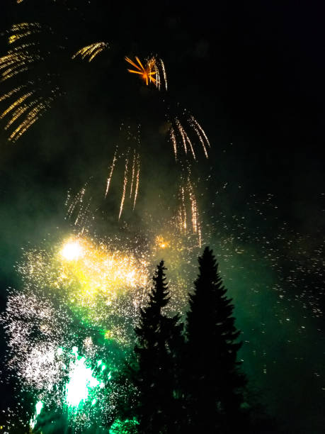 istock Traffic lights: red, yellow, green. Fireworks above the park. 1189816017