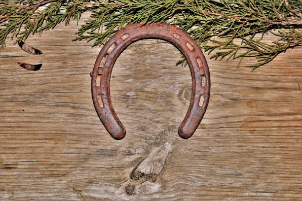 istock Rusty Horseshoe on Wood Background 1189817289