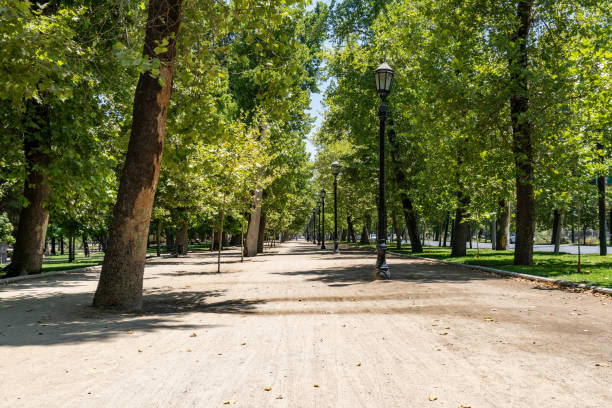 istock Forestry Park in Santiago, Chile 1189818954