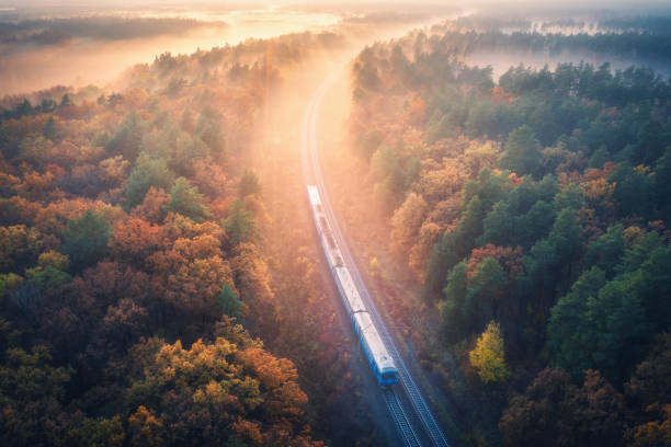 aerial view of train in beautiful forest in fog at sunrise in autumn. commuter train in fall. colorful landscape with railroad, foggy trees with vibrant foliage, sunbeams. top view. railway station - local train imagens e fotografias de stock