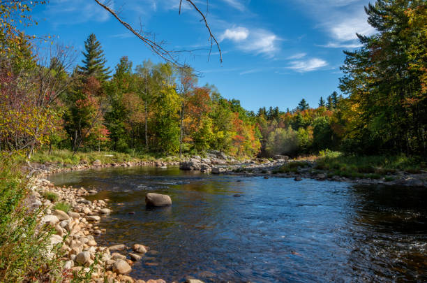 istock Fall foliage in the Adirondack Mountains 1189826350
