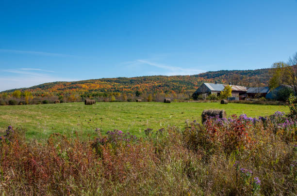 istock Fall colors in the North country NY 1189826444
