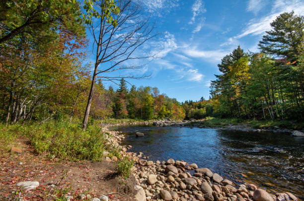 istock Fall foliage in the Adirondack Mountains 1189826469