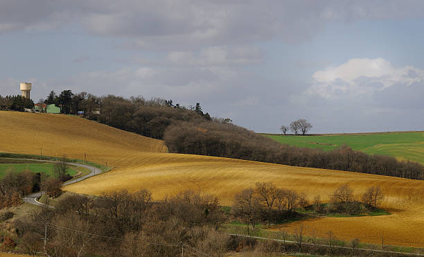 istock farm field cultivated 118982775