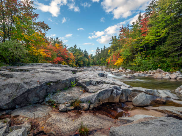 istock Autumn on the swift river 1189828776