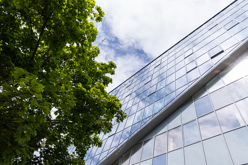 Glass building facade with tree nearby and sky background